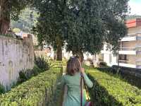 Gardens with a view 