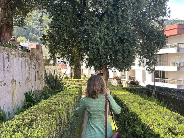 Gardens with a view 