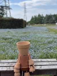 【埼玉】広大な敷地に、四季折々の花が咲き乱れる公園