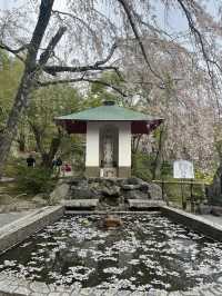 🍃 교토 텐류지(天龍寺), 마음까지 맑아지는 순간 🌸