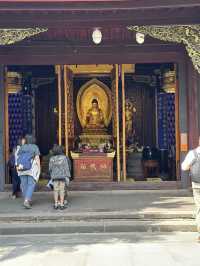 Where ancient serenity meets modern vibrance—Daci Temple in Taikooli. 🌸🙏 