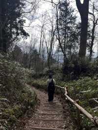 【大阪／金剛山】初心者おすすめの登山