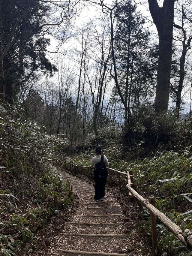 【大阪／金剛山】初心者おすすめの登山