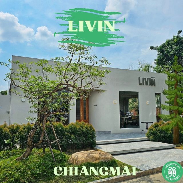 ✳️LIVIN CAFE | คาเฟ่มินิมอลโทนสีอบอุ่น✴️
