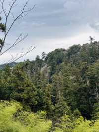 Cherry Blossoms, Tengu Legends & Scenic Trails – Springtime Magic on Mount Takao!