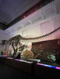 澳洲悉尼市區好去處｜Australian Museum親子必參觀🦖
