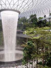 ชมน้ำตกในร่มที่สูงที่สุดใน Jewel Changi Airport