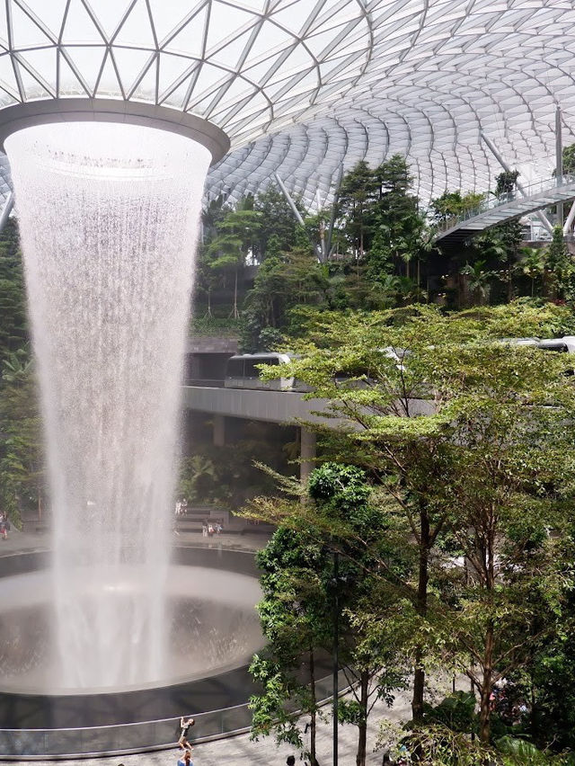 ชมน้ำตกในร่มที่สูงที่สุดใน Jewel Changi Airport