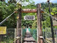 💦 Waterfall Woes & Whoas: My Splashy Day at Chamang 🌿🌈