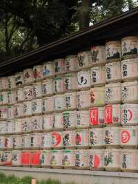 Tokyo thrills, Fuji chills 