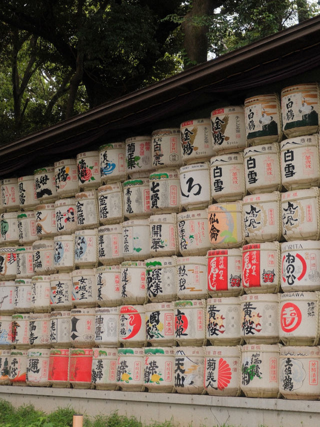 Tokyo thrills, Fuji chills 