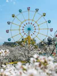 Blossoms and Beasts: Springtime Splendor at Kobe Oji Zoo