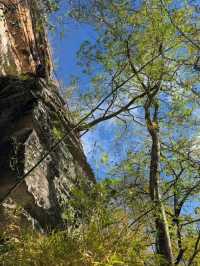 อุทยานแห่งชาติผาแต้ม อุบลราชธานี