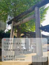 合格祈願の神社として有名⛩️湯島天満宮