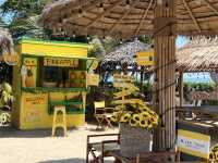MORE THAN BEACH & CAFE 
