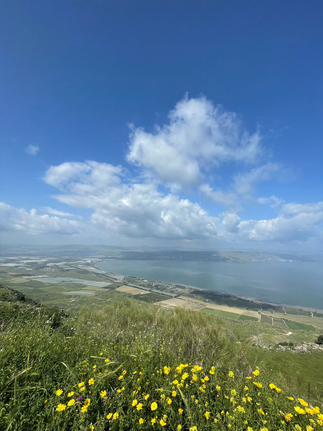 Peaceful Flow Ben Tal