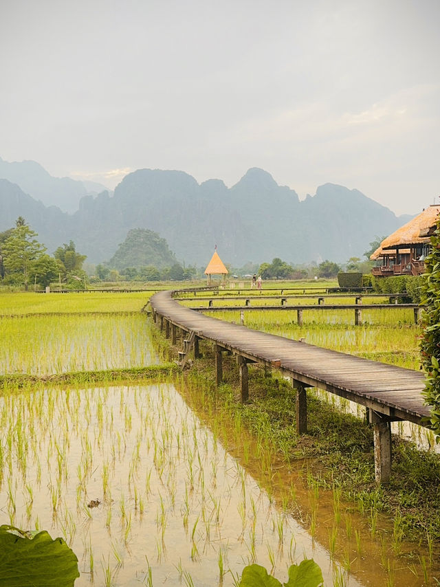  Best restaurant with a View in Vang Vieng!