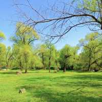鶴洞公園•城市綠色秘境