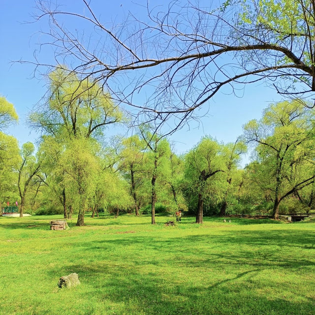 鶴洞公園•城市綠色秘境