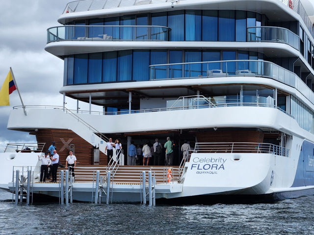 🌿✨ CELEBRITY FLORA: The Most Luxe Way to Crash into a Volcanic Island! 🚢🌋