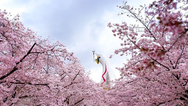 🌸 Expo '70 Park: Osaka's Secret Sakura Wonderland! 🌸