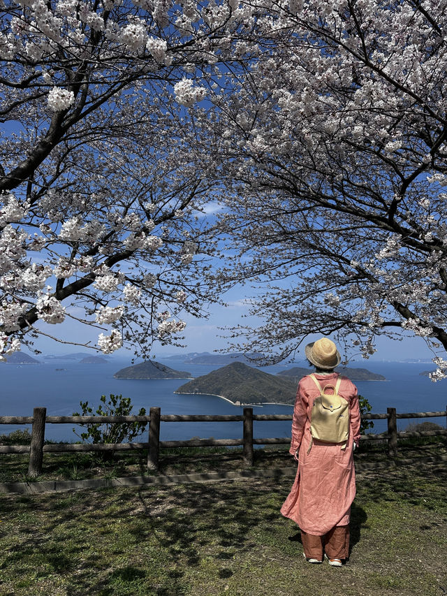 四國高松的絕美景點-紫雲出山