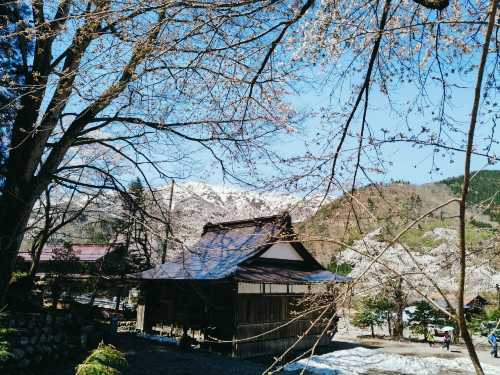 Shirakawago