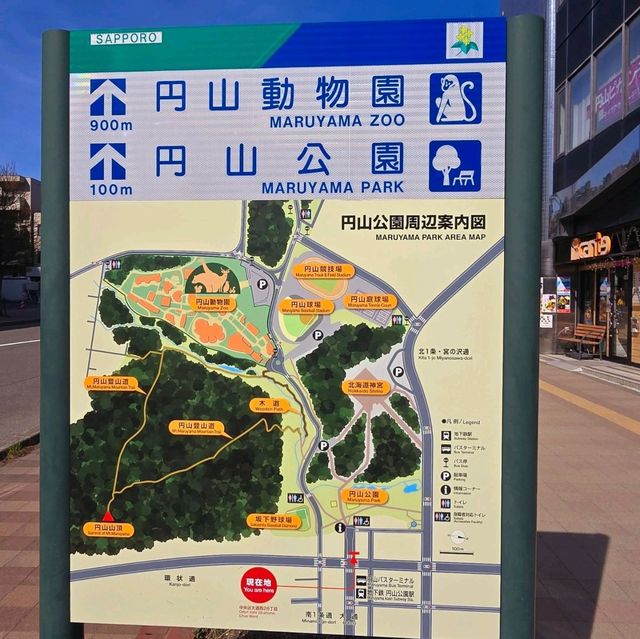 Maruyama Park: A Nature Lover’s Haven