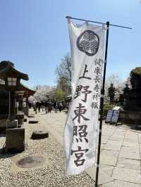 櫻花季in上野公園