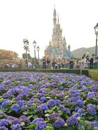 Cherished moments at Hong Kong Disneyland