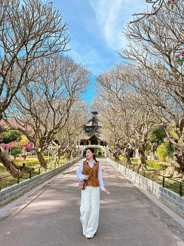 Tây Nguyên