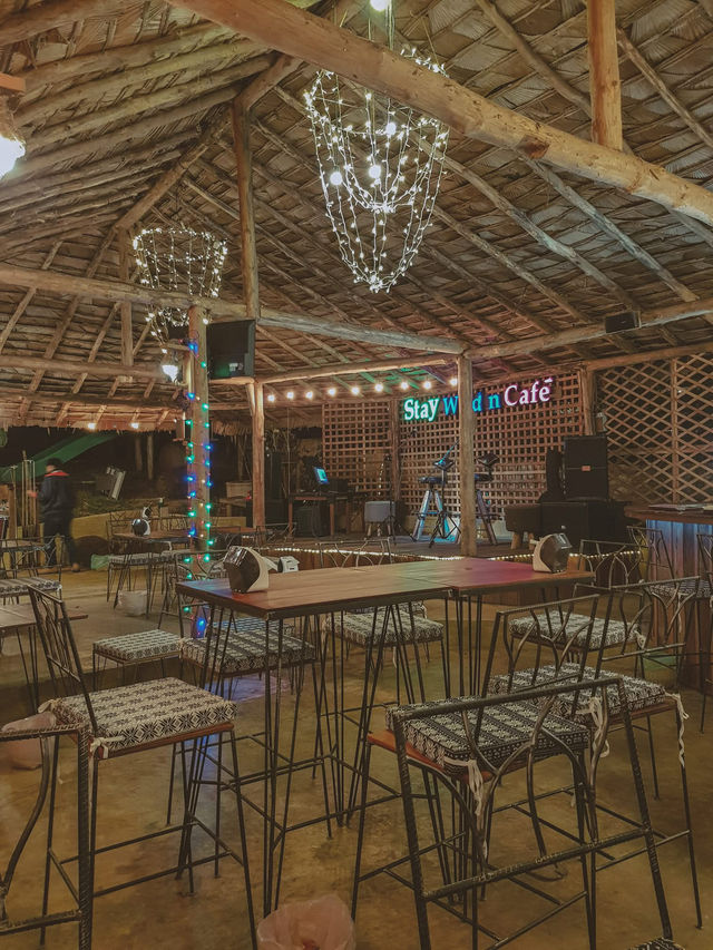 Stay wild & Cafe ☘️☘️