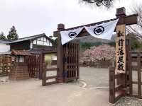 “The Last Sakura: Matsumae’s Whispering Spring”