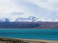 紐西蘭南島｜Lake Pukaki｜Mount Cook 必經夢幻公路：80號公路