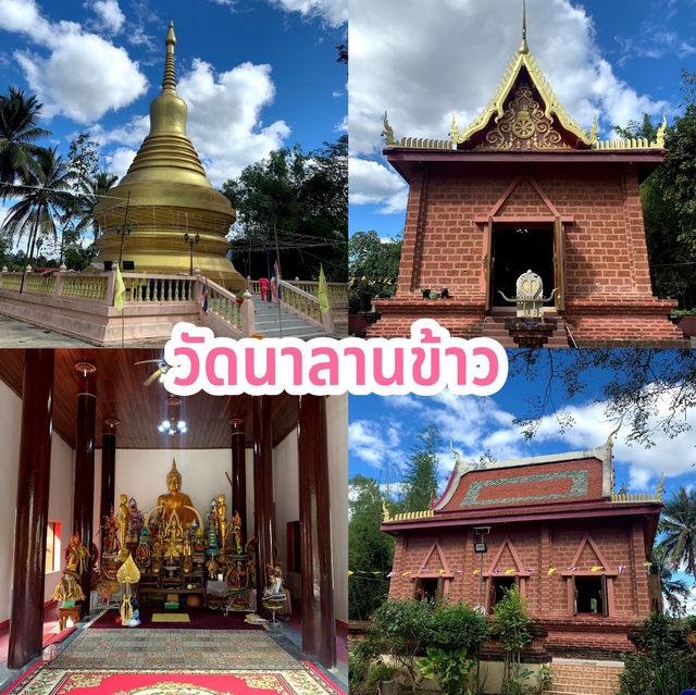 วัดนาลานข้าว