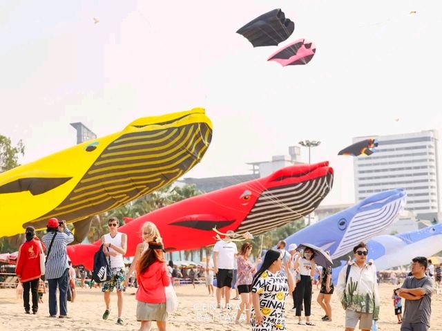 Pattaya Pulse – Where the City Meets the Sea