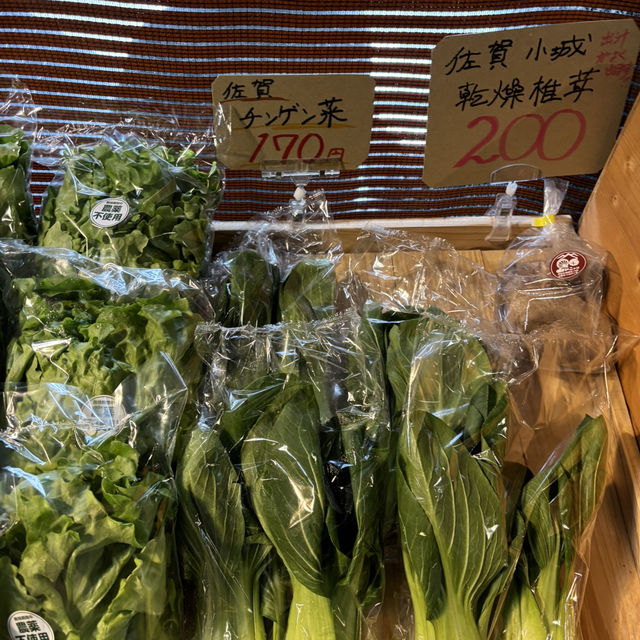 日帰りで清滝温泉(세이류온천) 