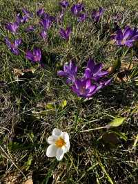 Discovering Næstved – A Historic Danish Gem with a Creative Soul