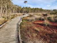 🌿 Rhyll Inlet Weekend Escape: 2 Days of Nature & Relaxation