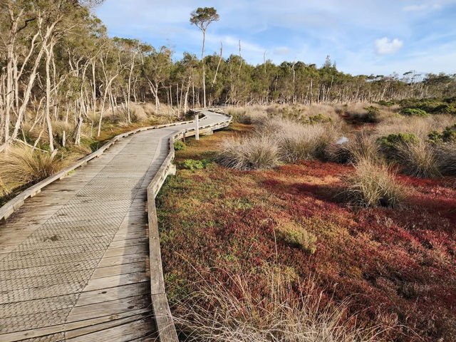 🌿 Rhyll Inlet Weekend Escape: 2 Days of Nature & Relaxation