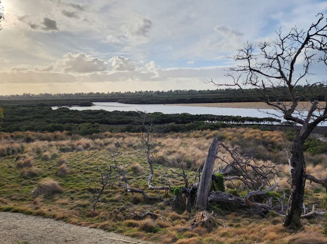 🌿 Rhyll Inlet Weekend Escape: 2 Days of Nature & Relaxation