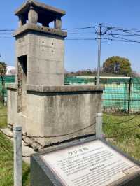 A Slow Stroll Through Sakai – Roses, Sea Breeze & Local Charm