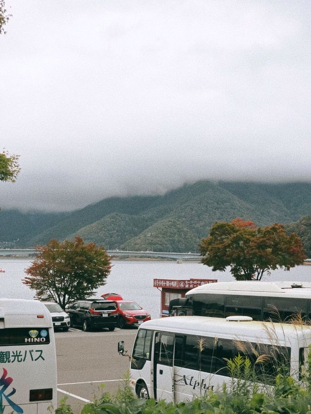 1Day Tripที่คาวากูจิโกะ 🏔