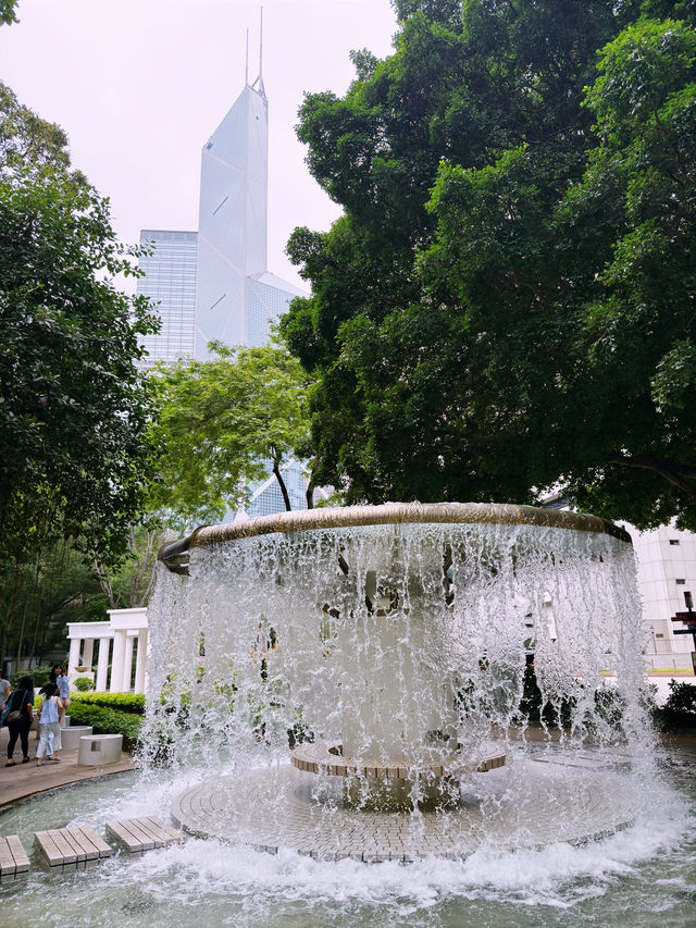 香港公園向日葵季｜都市綠洲的陽光物語