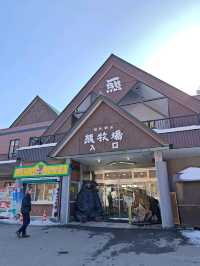 北海道景點｜日本最新活火山~堪稱日本地質學上的奇蹟—北海道昭和新山