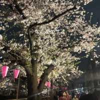 Tokyo Spring Moments