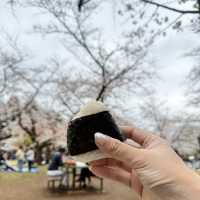 Tokyo Spring Moments