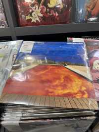 ซื้อแผ่นเสียง Tower records @Nagoya✨🇯🇵