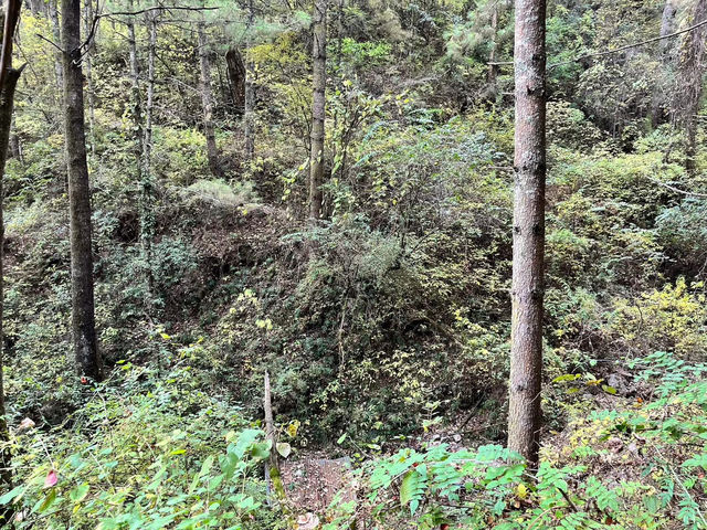 A Hike to Remember in Thimphu -Kuenselphodrang National Park