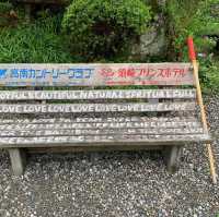 Tosashimizu: Where the Ocean Meets Untamed Beauty